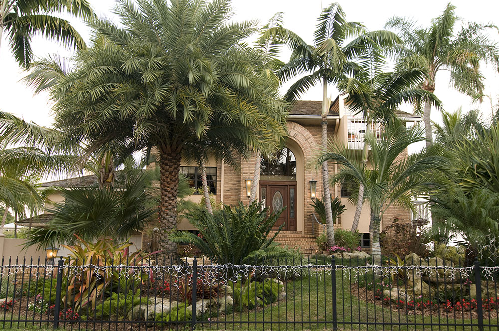 Landscaping Sarasota Florida with Tropical Palm Trees ...